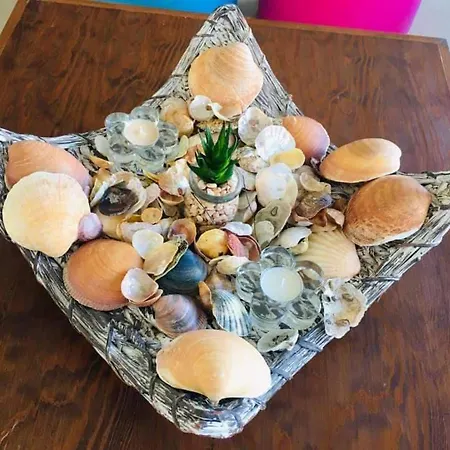 Casa Da Palmeira São Bernardino