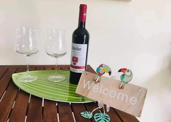 Casa Da Palmeira Appartamento São Bernardino